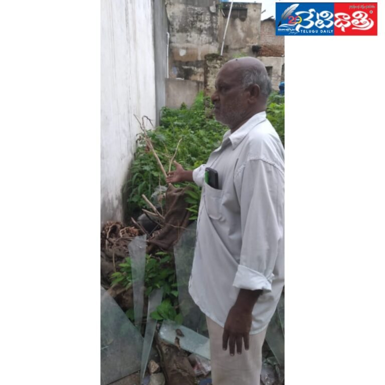 WhatsApp Image 2024-07-31 at 4.21.53 PM (2)