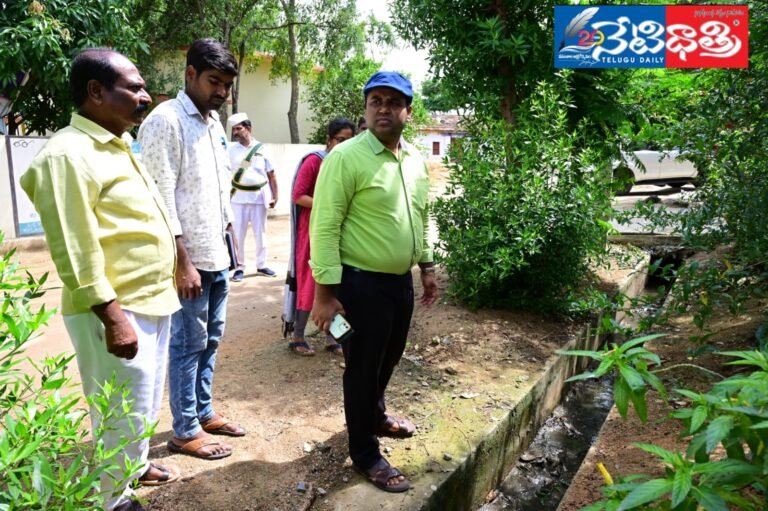 WhatsApp Image 2024-07-31 at 5.09.54 PM (1)