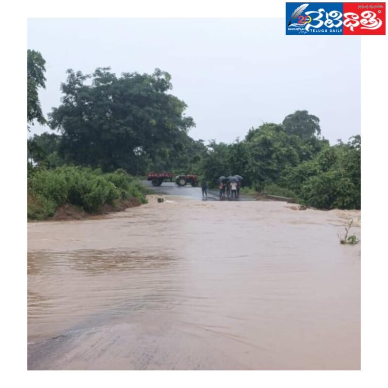 WhatsApp Image 2024-08-07 at 6.25.35 PM (3)