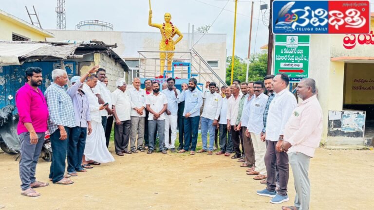 WhatsApp Image 2024-09-10 at 1.15.28 PM