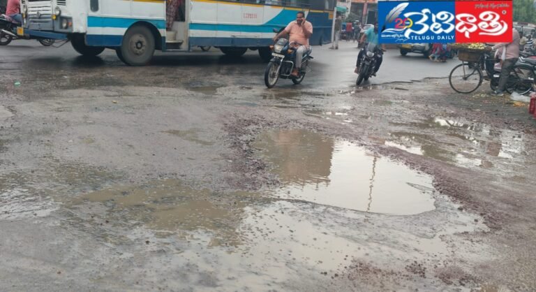 WhatsApp Image 2024-09-10 at 2.53.39 PM