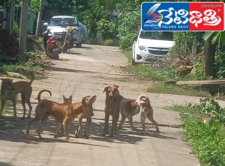 WhatsApp Image 2024-09-11 at 2.20.10 PM