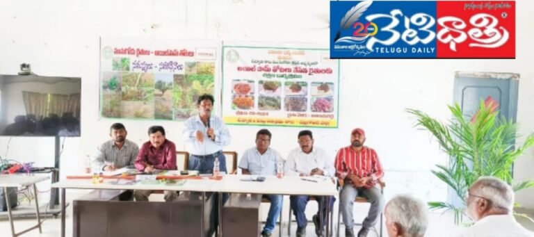 WhatsApp Image 2024-09-11 at 6.38.13 PM