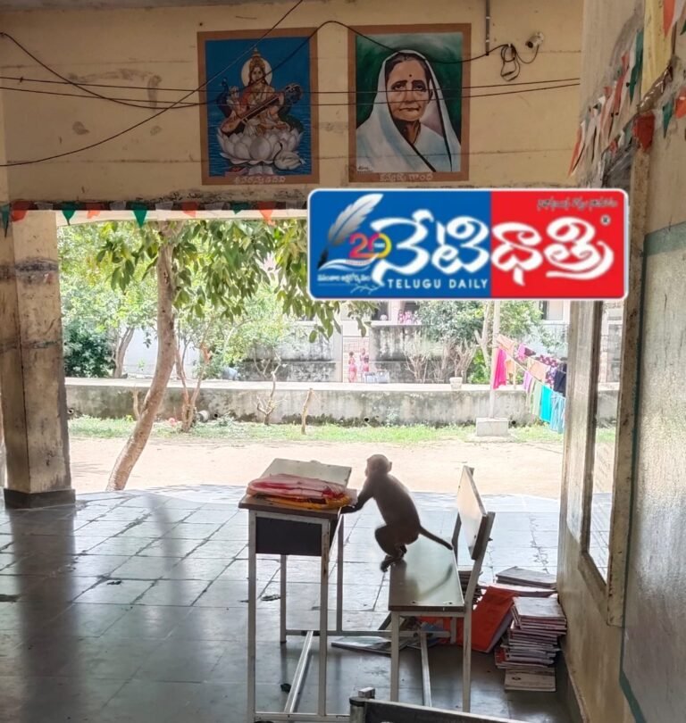 WhatsApp Image 2024-09-13 at 1.25.50 PM