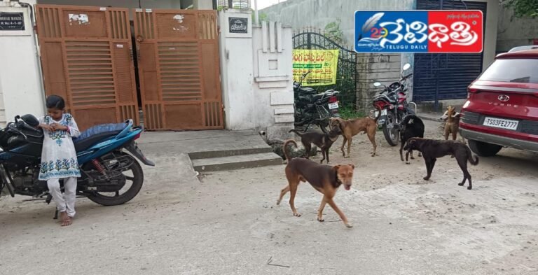 WhatsApp Image 2024-09-14 at 1.17.03 PM