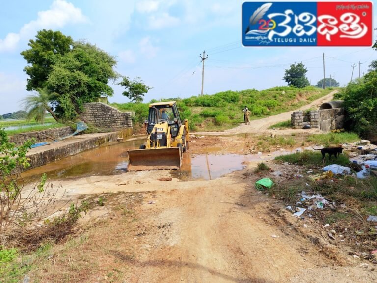 WhatsApp Image 2024-09-16 at 3.06.39 PM