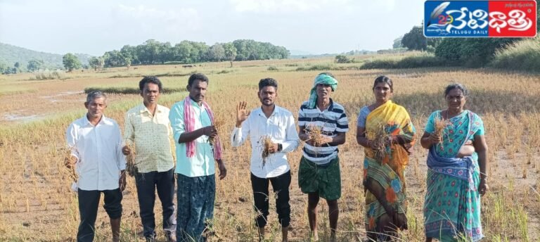 WhatsApp Image 2024-09-16 at 3.40.04 PM