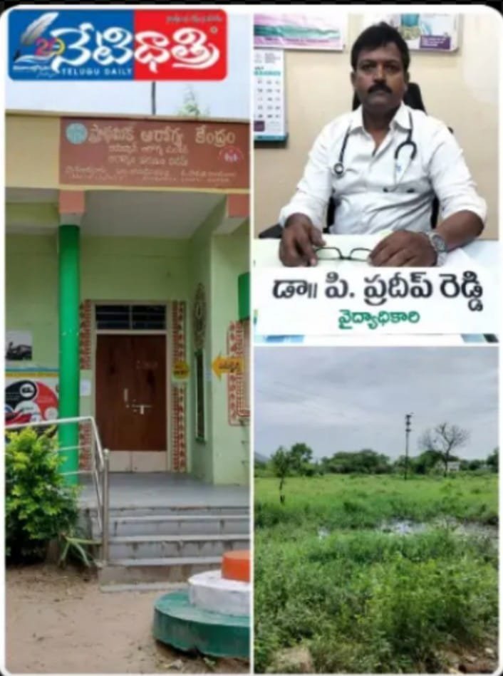 WhatsApp Image 2024-09-16 at 5.06.24 PM