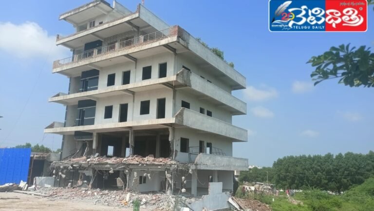 WhatsApp Image 2024-09-19 at 2.53.56 PM