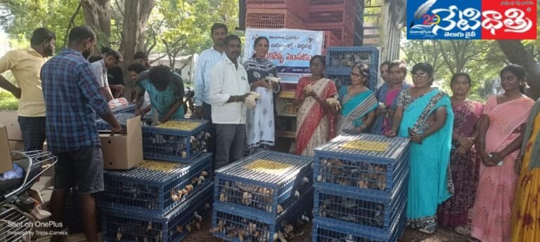 WhatsApp Image 2024-09-19 at 4.54.58 PM