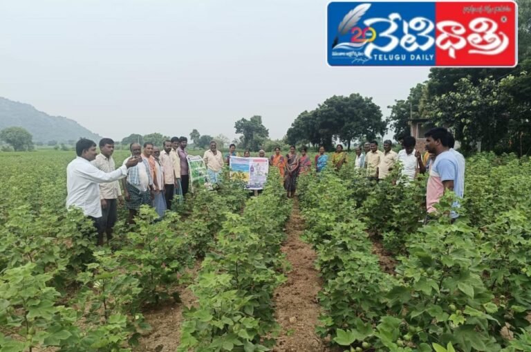 WhatsApp Image 2024-09-20 at 4.27.19 PM