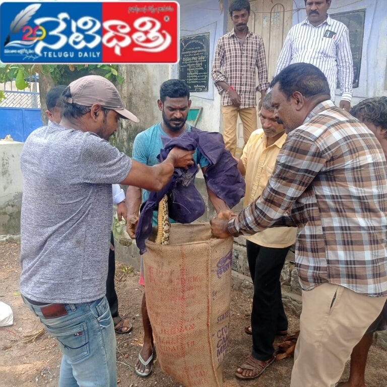 WhatsApp Image 2024-09-21 at 5.08.52 PM