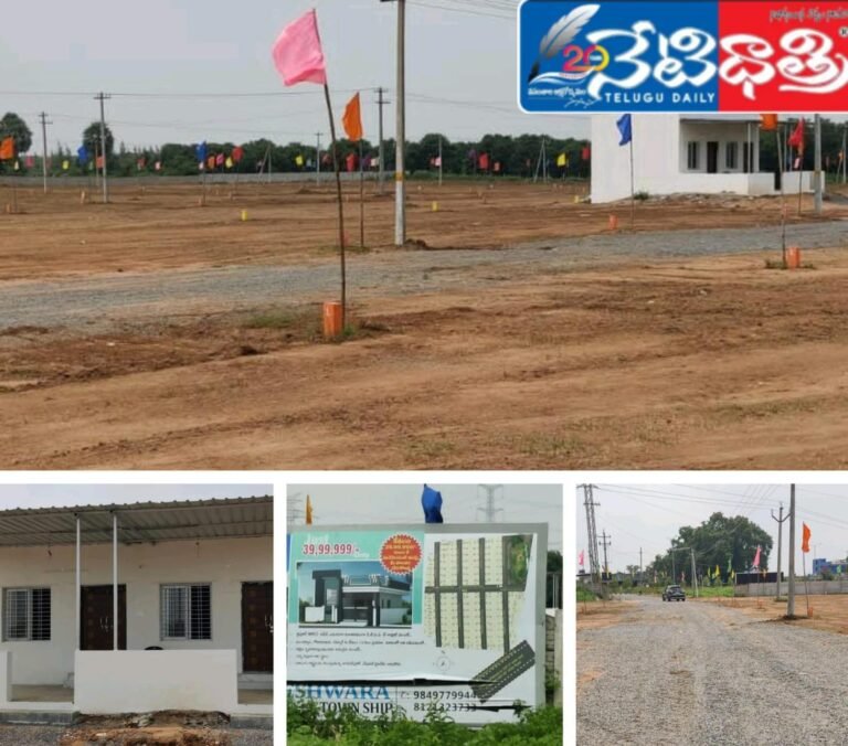 WhatsApp Image 2024-09-21 at 5.17.40 PM