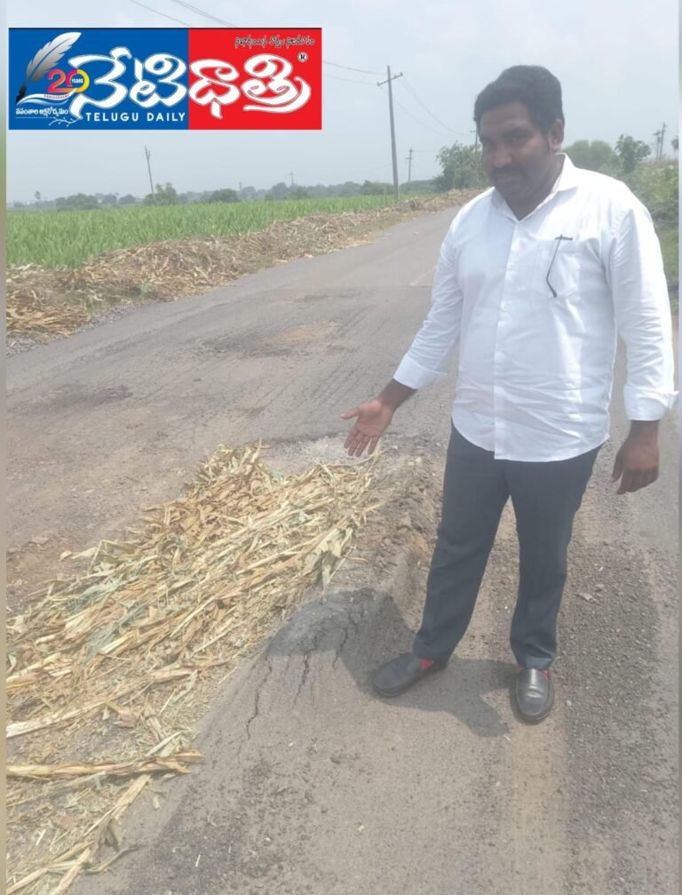 WhatsApp Image 2024-09-25 at 2.36.35 PM