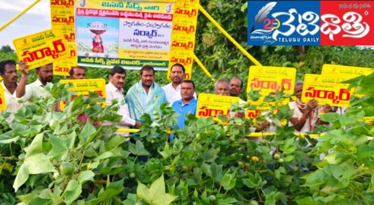 WhatsApp Image 2024-09-27 at 2.00.42 PM