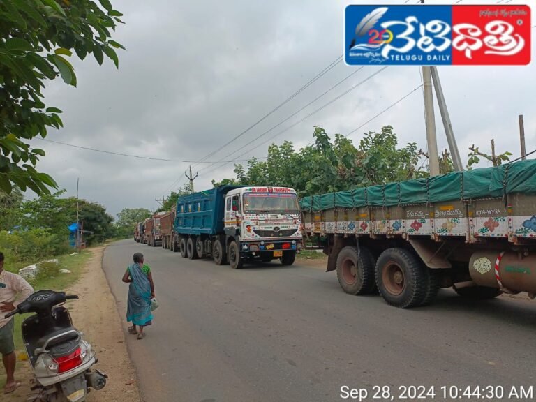 WhatsApp Image 2024-09-28 at 12.42.48 PM