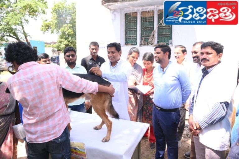 WhatsApp Image 2024-09-28 at 6.38.40 PM