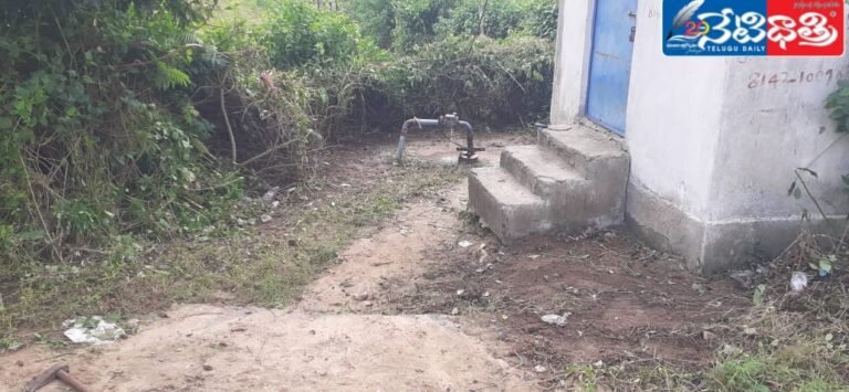 WhatsApp Image 2024-09-30 at 11.52.42 AM