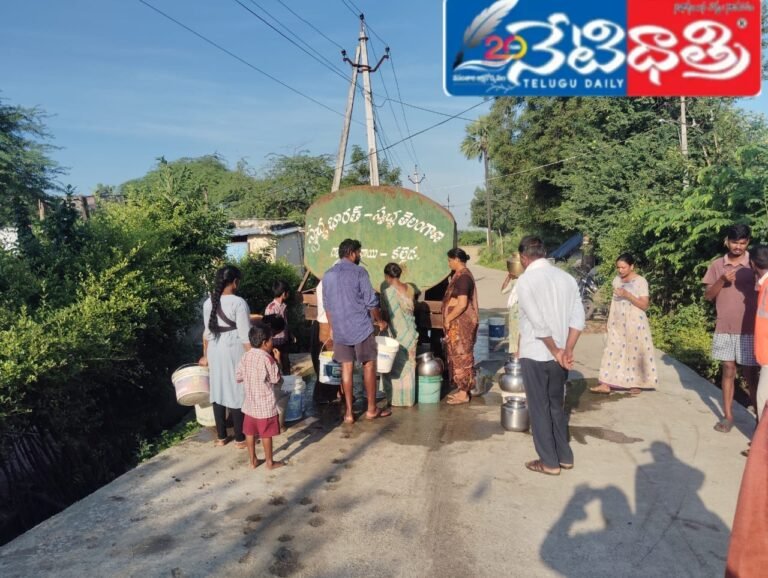 WhatsApp Image 2024-10-01 at 2.37.17 PM