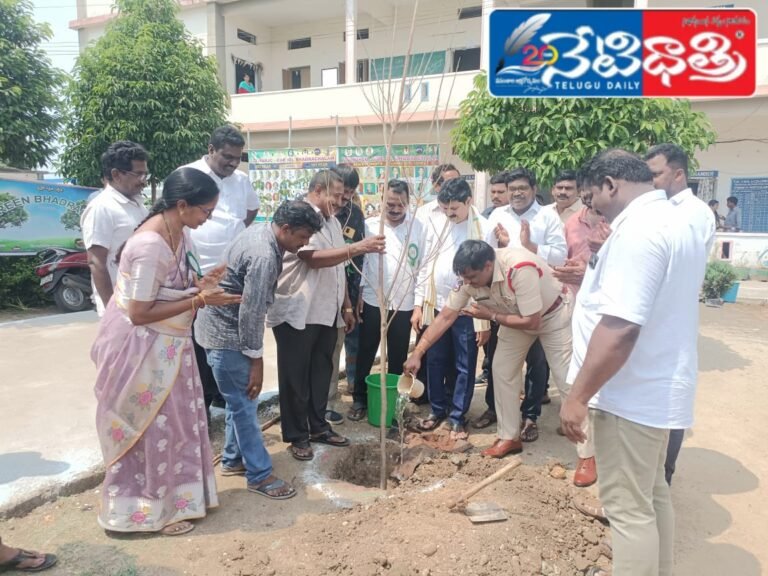 WhatsApp Image 2024-10-03 at 1.13.26 PM