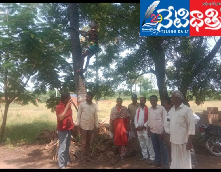 WhatsApp Image 2024-10-03 at 3.47.49 PM