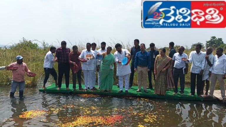 WhatsApp Image 2024-10-04 at 4.01.06 PM