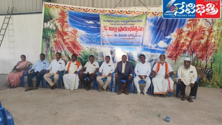 WhatsApp Image 2024-10-04 at 5.19.34 PM (1)