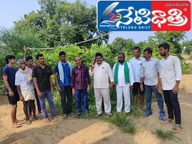 WhatsApp Image 2024-10-05 at 2.06.03 PM