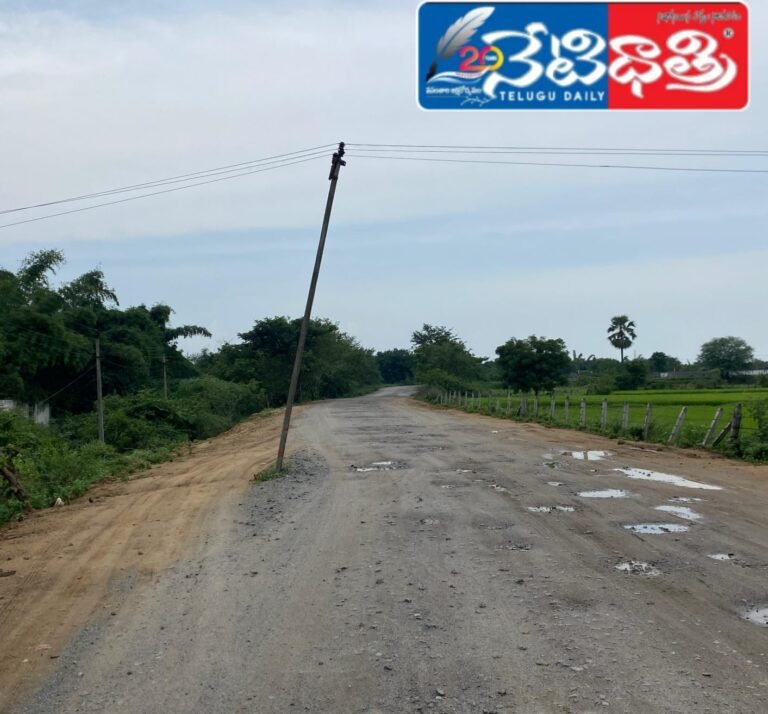 WhatsApp Image 2024-10-05 at 2.36.42 PM