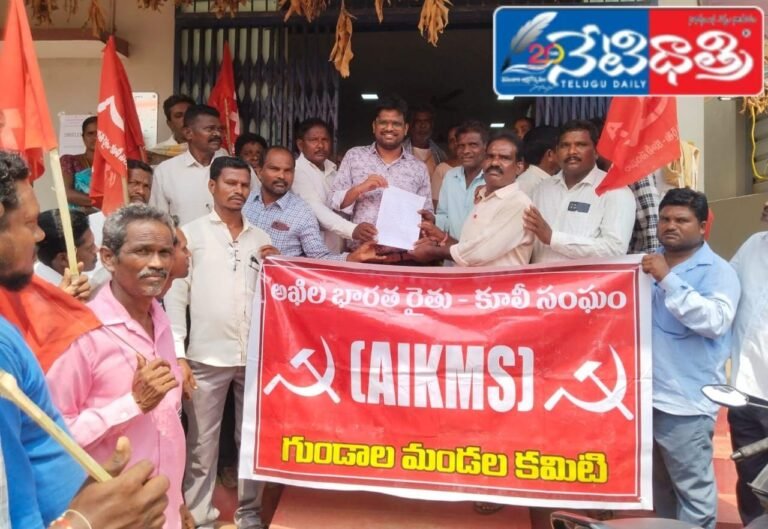 WhatsApp Image 2024-10-05 at 3.11.41 PM