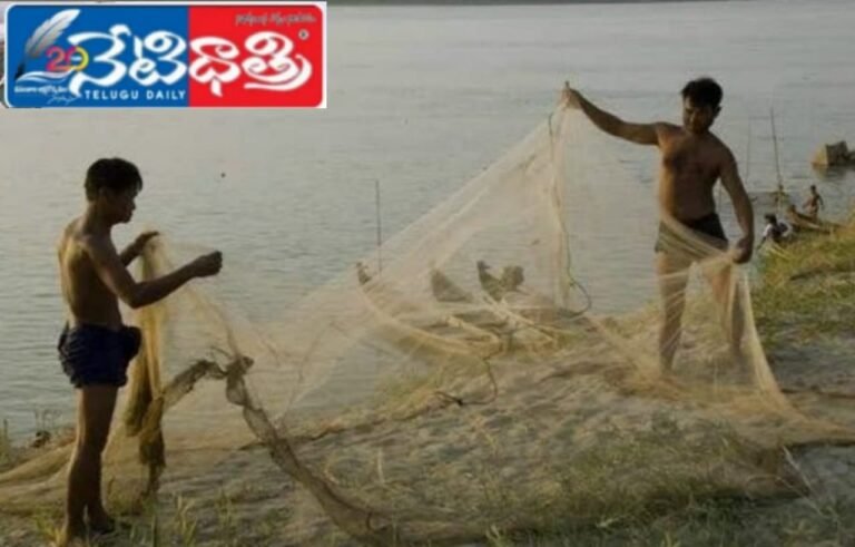 WhatsApp Image 2024-10-14 at 4.35.46 PM