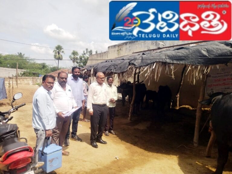 WhatsApp Image 2024-10-16 at 1.45.15 PM