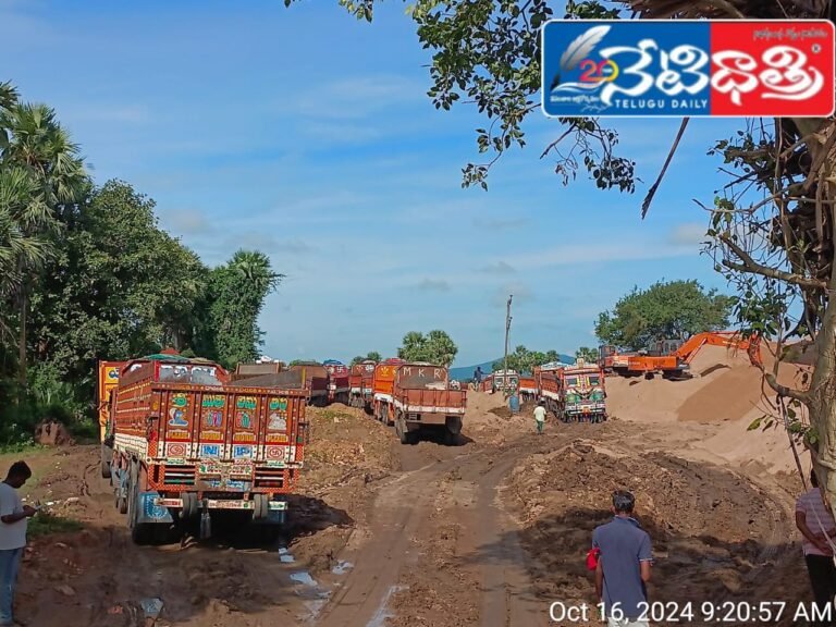 WhatsApp Image 2024-10-16 at 12.07.47 PM