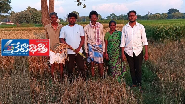 WhatsApp Image 2024-10-21 at 12.16.03 PM