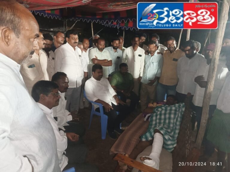 WhatsApp Image 2024-10-21 at 12.54.25 PM