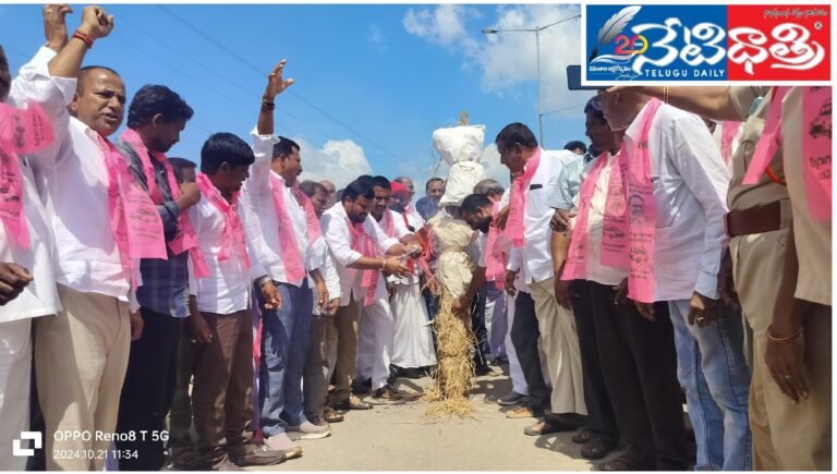 WhatsApp Image 2024-10-21 at 2.23.21 PM (1)