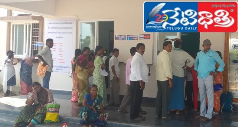 WhatsApp Image 2024-10-22 at 2.35.00 PM