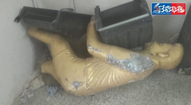 WhatsApp Image 2024-10-22 at 3.47.22 PM (1)