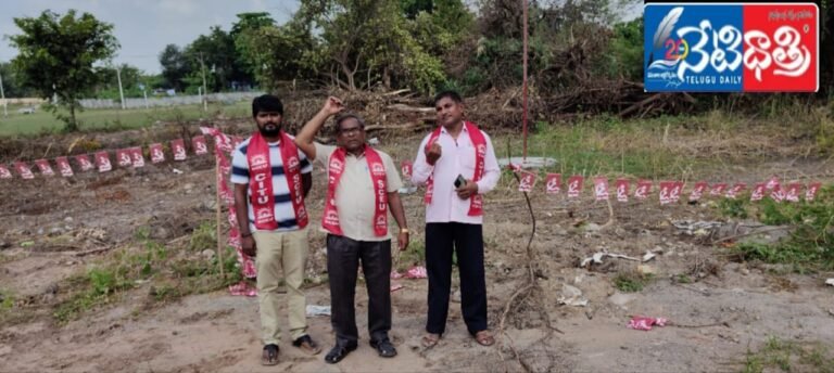 WhatsApp Image 2024-10-22 at 4.01.47 PM