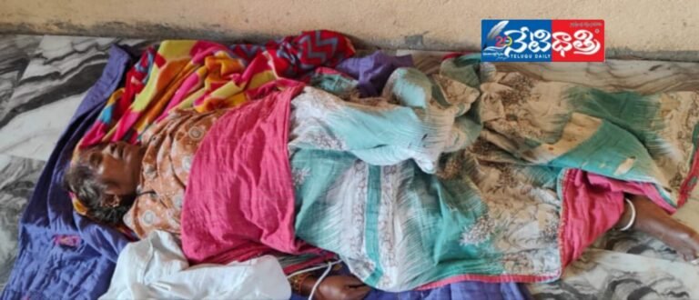 WhatsApp Image 2024-10-22 at 4.47.46 PM