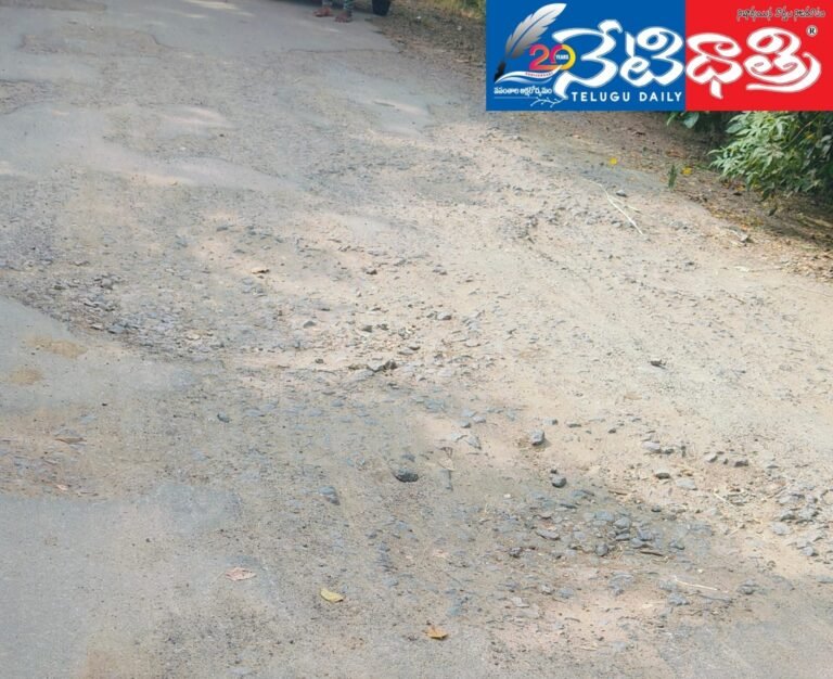 WhatsApp Image 2024-10-24 at 1.25.54 PM