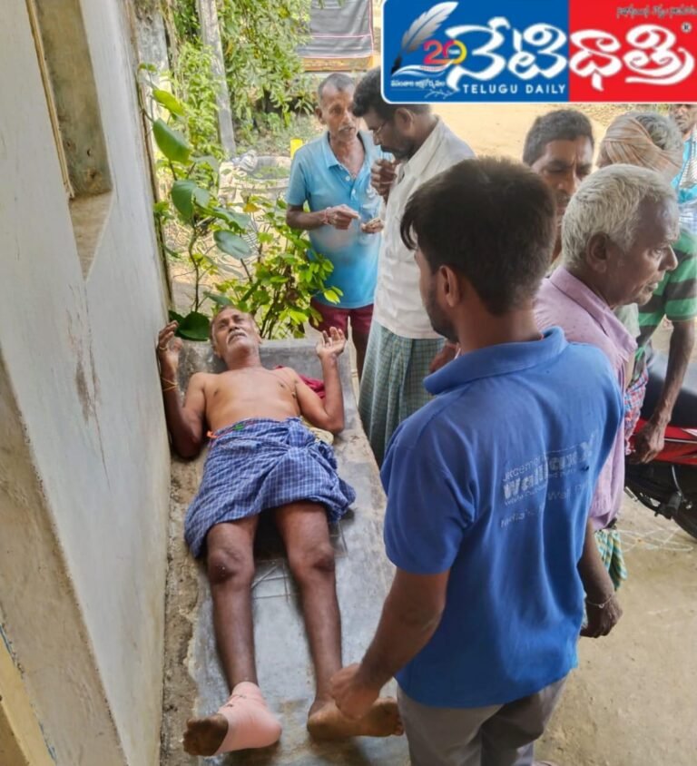 WhatsApp Image 2024-10-24 at 12.49.32 PM