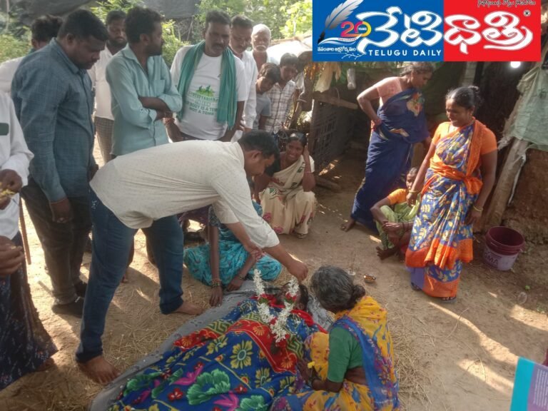 WhatsApp Image 2024-10-24 at 2.43.24 PM