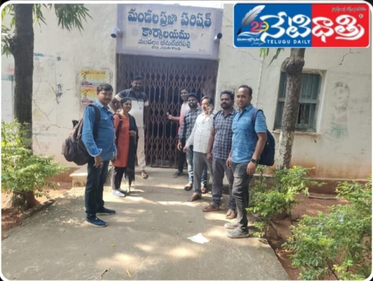 WhatsApp Image 2024-11-09 at 12.26.51 PM