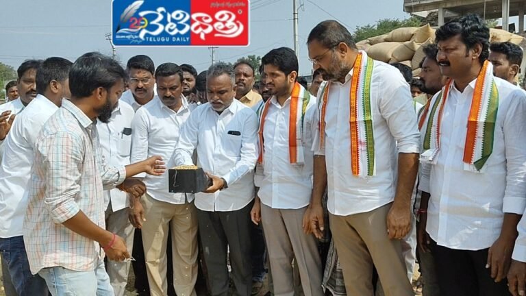 WhatsApp Image 2024-11-09 at 2.38.14 PM