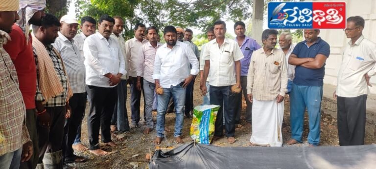 WhatsApp Image 2024-11-09 at 3.41.24 PM