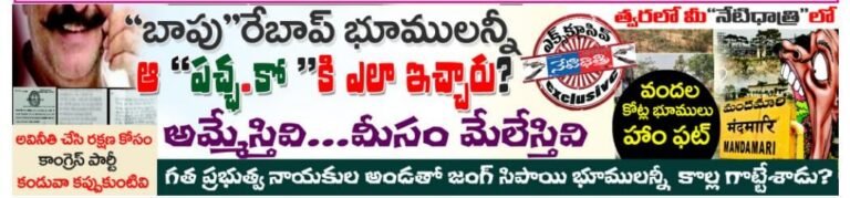 WhatsApp Image 2024-11-09 at 5.11.48 PM
