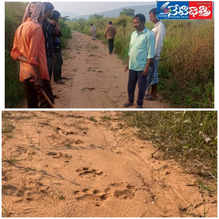 WhatsApp Image 2024-11-11 at 2.32.39 PM