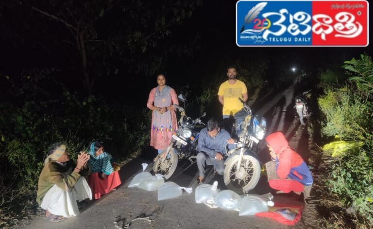 WhatsApp Image 2024-11-11 at 2.41.46 PM