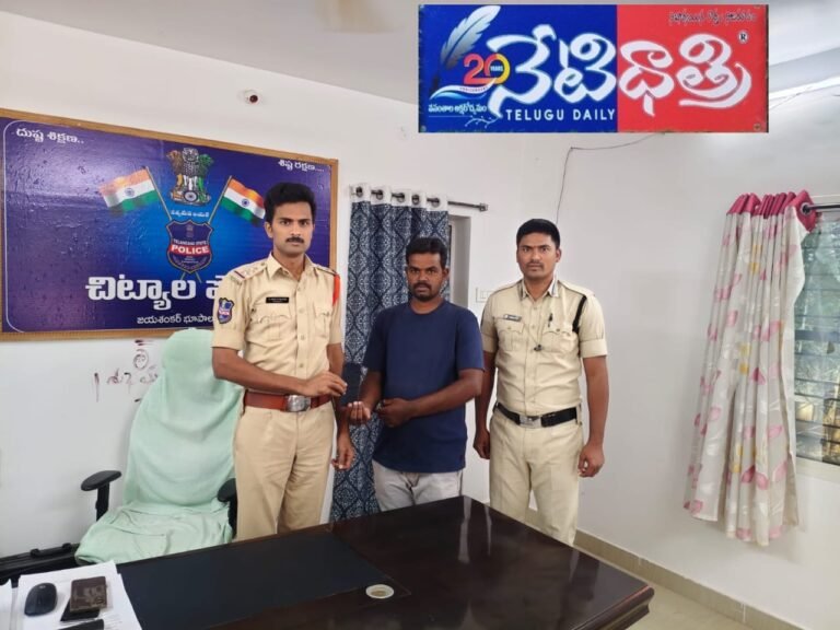 WhatsApp Image 2024-11-11 at 3.33.49 PM